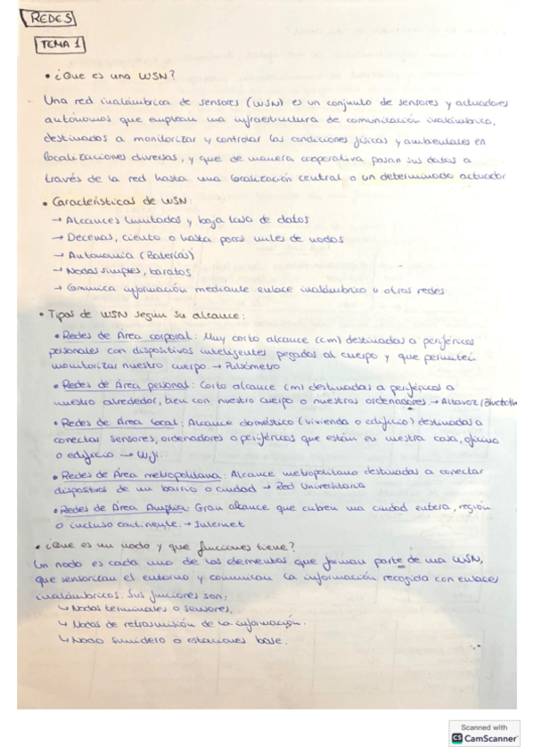 Miniatura del documento Apuntes-Redes.pdf