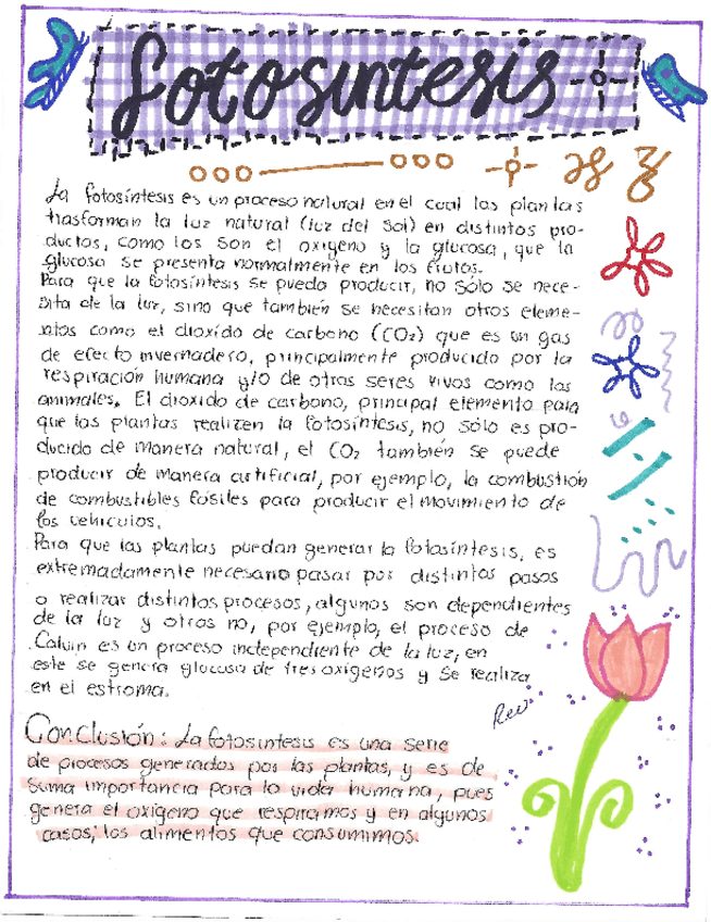 Miniatura del documento fotosintesis.pdf