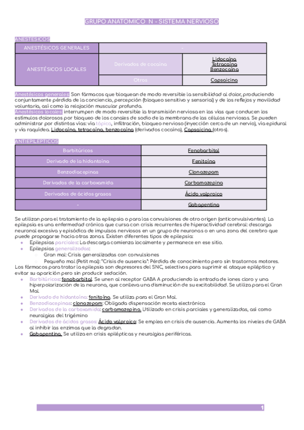 Miniatura del documento GRUPO-N.pdf