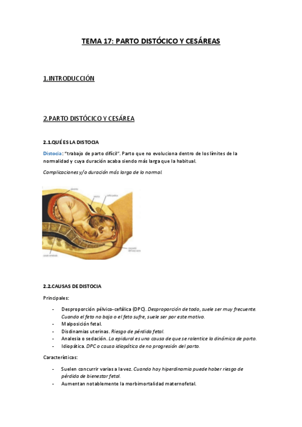 Miniatura del documento TEMA17.pdf