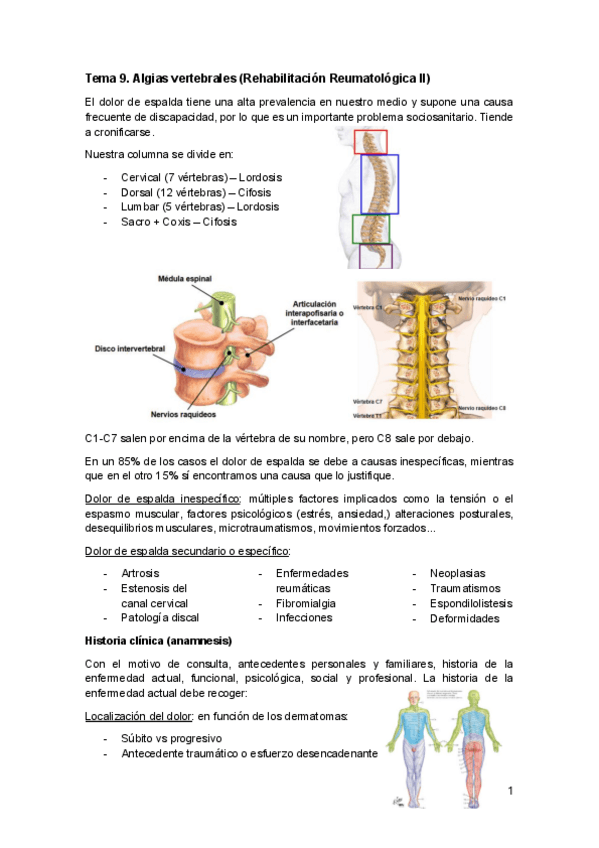 Miniatura del documento Tema-9.-Algias-vertebrales-Rehabilitacion-Reumatologica-II.pdf