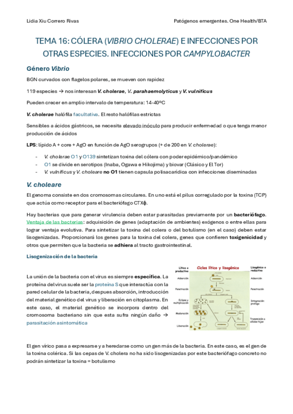 Miniatura del documento Tema-16.pdf