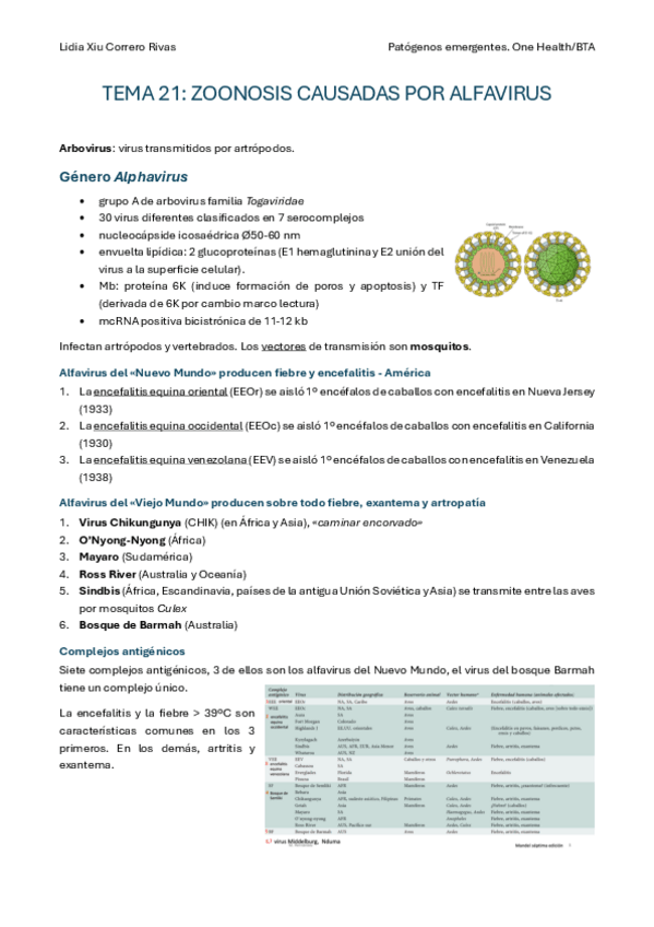 Miniatura del documento Tema-21.pdf