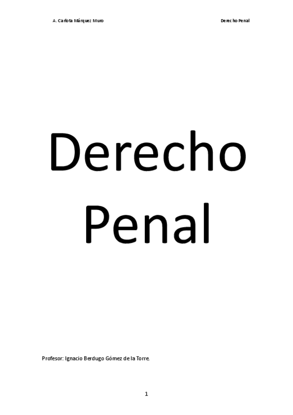 Miniatura del documento APUNTES-DE-DERECHO-PENAL.pdf