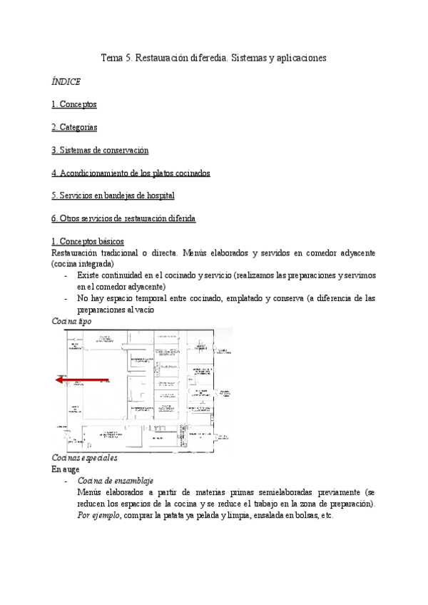 Miniatura del documento Tema-5.-Restauracion-diferedia.-Sistemas-y-aplicaciones.pdf