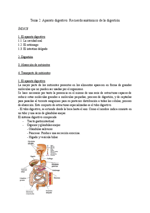 Miniatura del documento Tema-2.-Aparato-digestivo.pdf