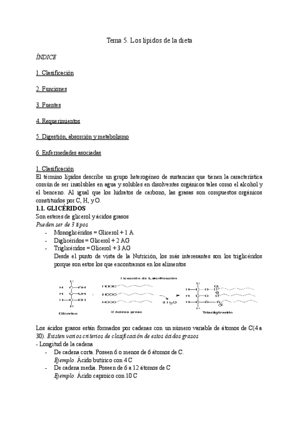 Miniatura del documento Tema-5.-Lipidos.pdf