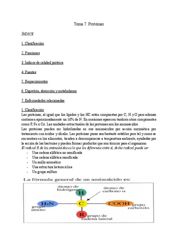 Miniatura del documento Tema-7.-Proteinas.pdf