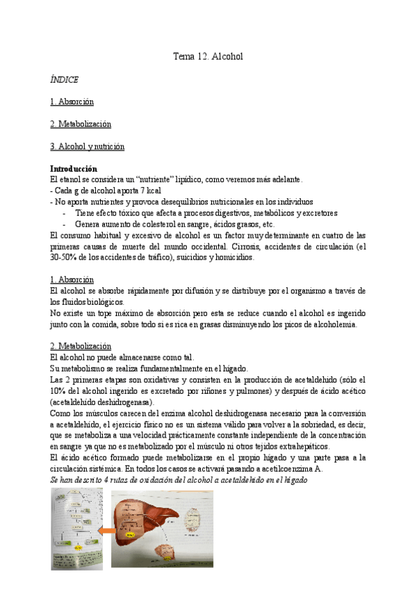 Miniatura del documento Tema-12.-Alcohol.pdf