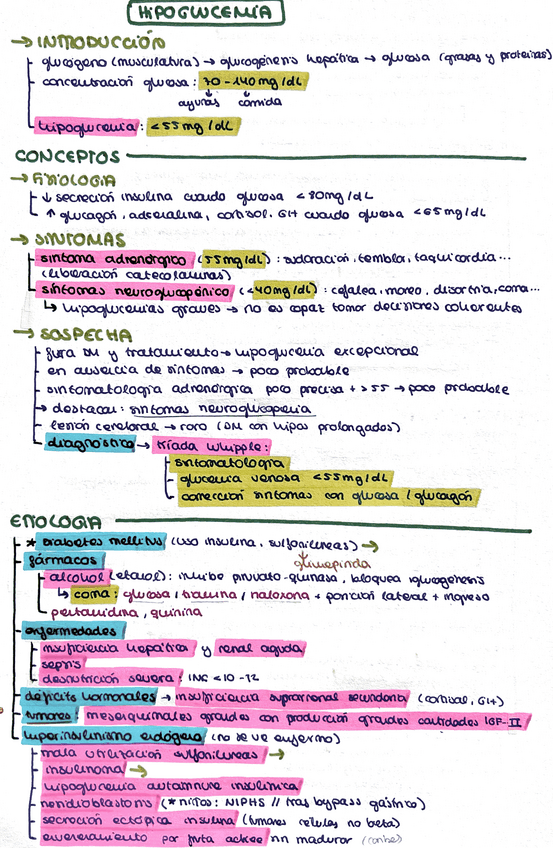 Miniatura del documento Hipoglucemia.pdf
