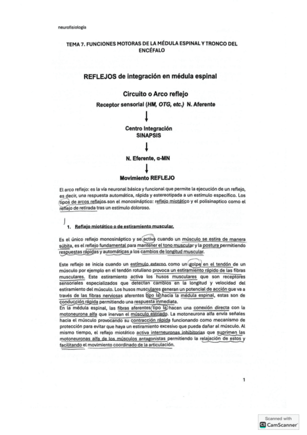 Miniatura del documento tema-7-neurofisiologia.pdf