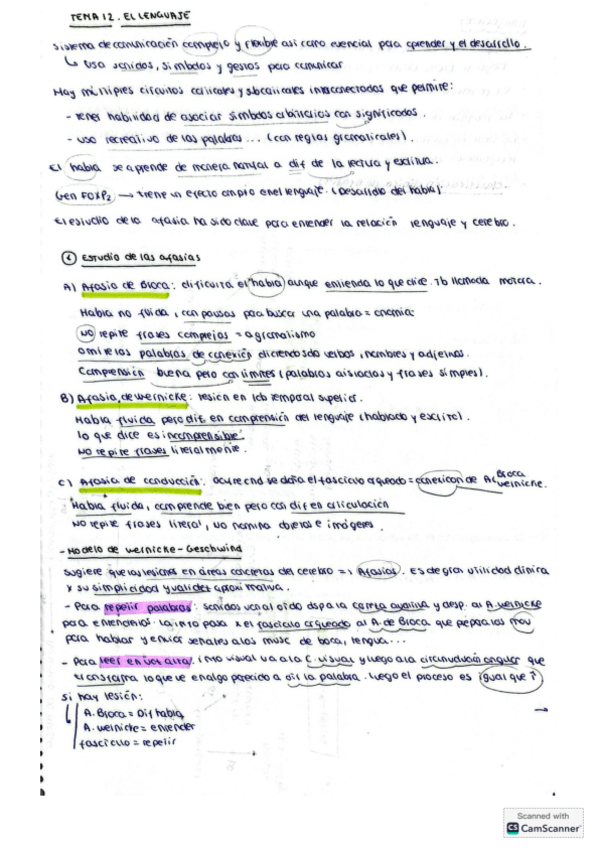 Miniatura del documento tema-12-neurofisiologia.pdf