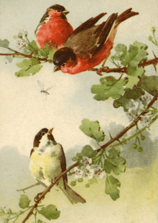 Miniatura del documento Tema-2..pdf