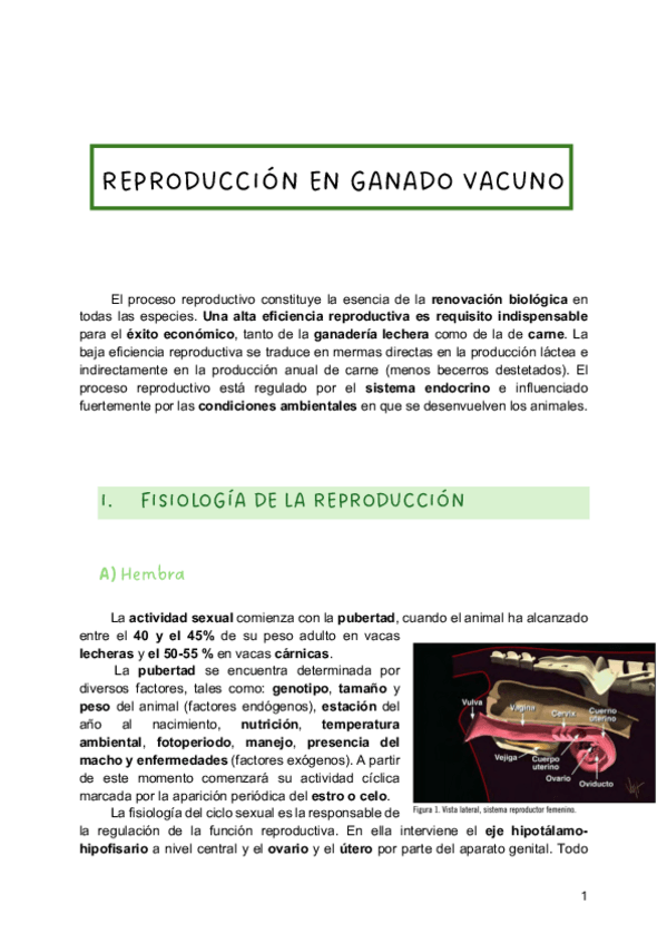 Miniatura del documento REPRODUCCION-EN-GANADO-VACUNO.pdf