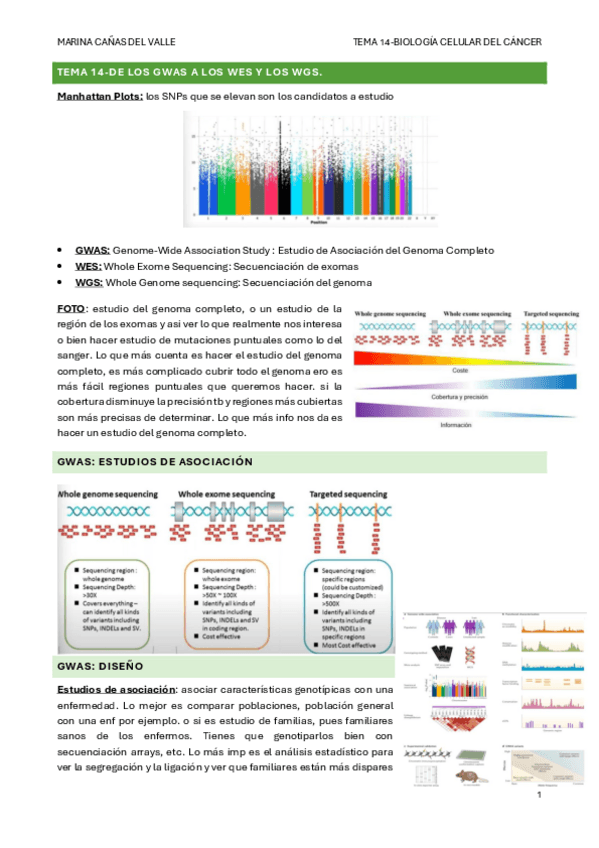 Miniatura del documento TEMA-14-De-los-GWAS-a-los-WES-y-los-WGS..pdf