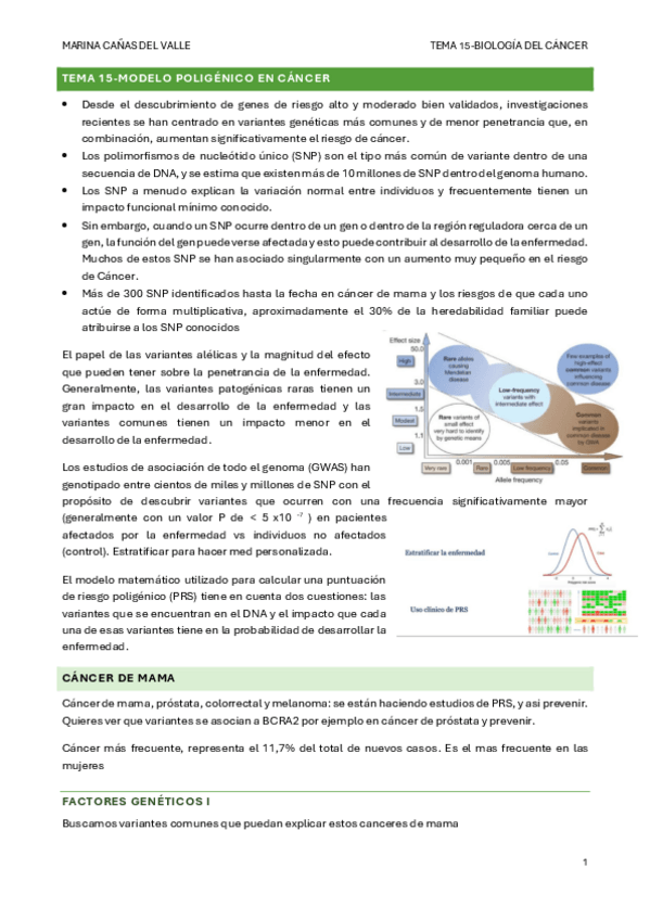 Miniatura del documento TEMA-15-Modelo-poligenico-en-cancer.pdf