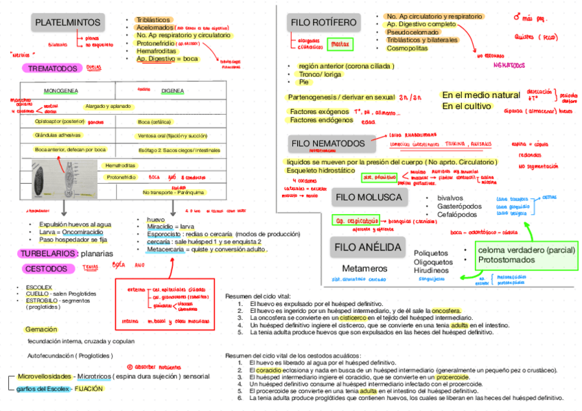 Miniatura del documento Esquemas--practica.pdf
