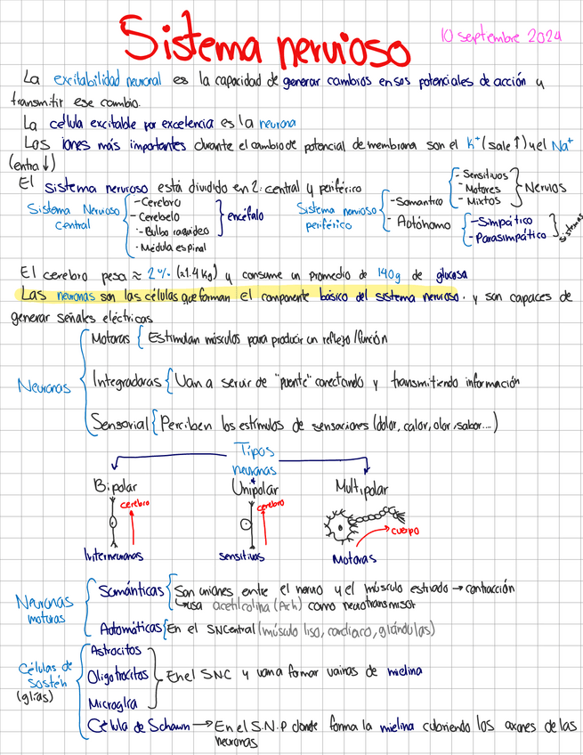 Miniatura del documento Sistema-nervioso.pdf