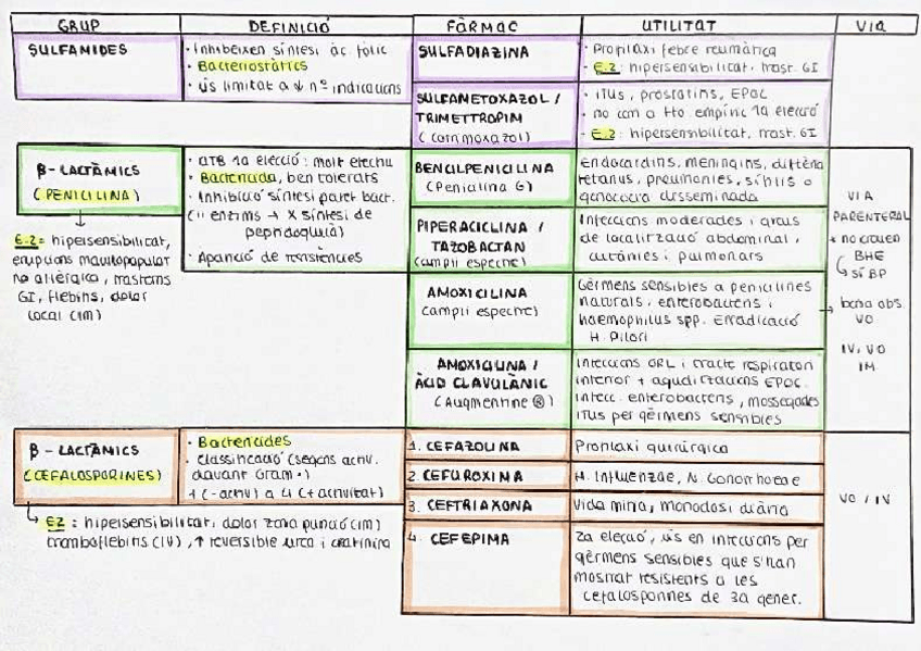 Miniatura del documento RESUM TAULA ANTIBIOTICS.pdf