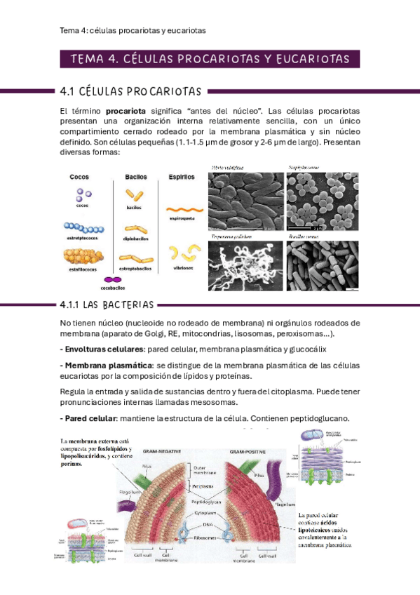 Miniatura del documento bio-tema-4.pdf