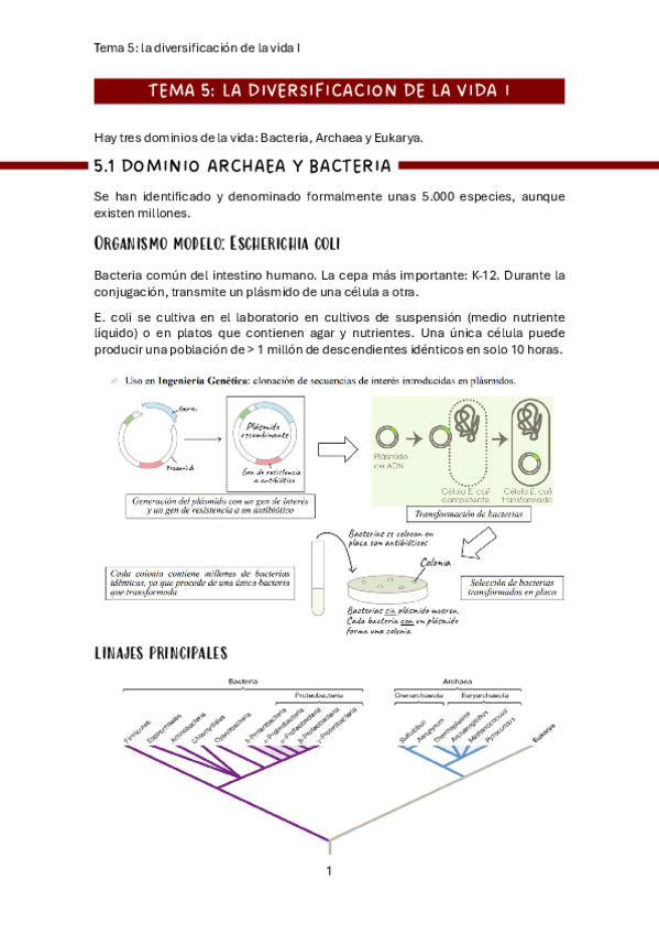 Miniatura del documento bio-tema-5.pdf