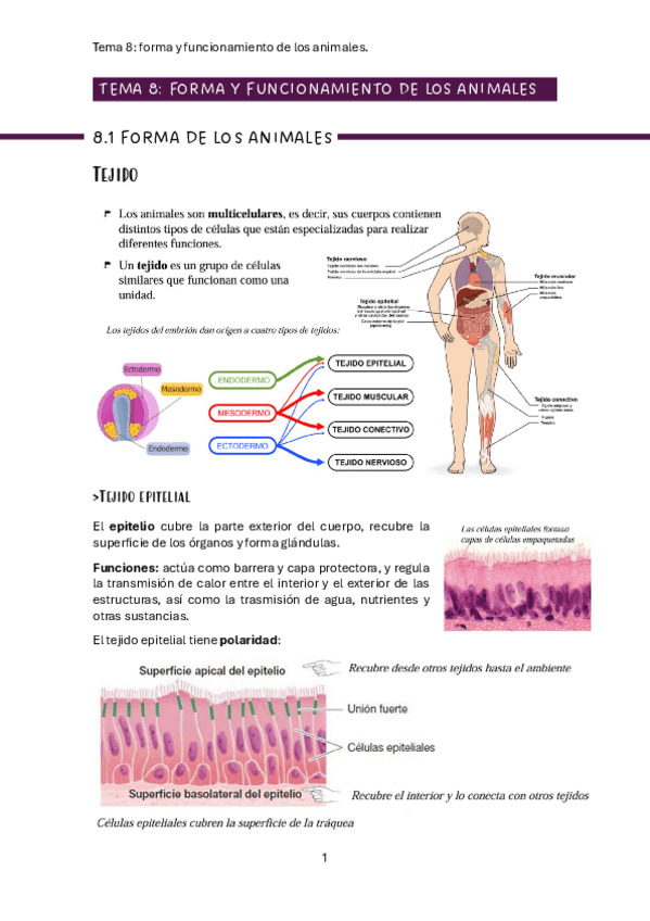 Miniatura del documento biol-tema-8.pdf