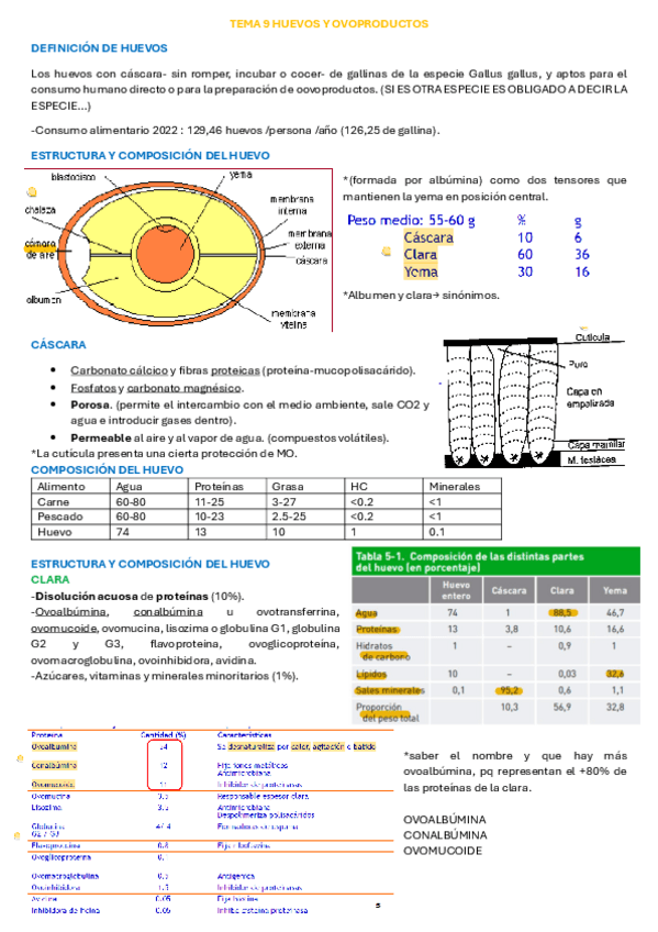 Miniatura del documento APUNTES-T9.pdf