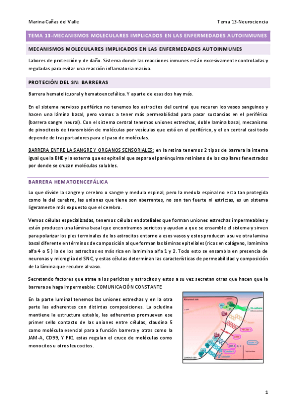 Miniatura del documento tema-13.pdf