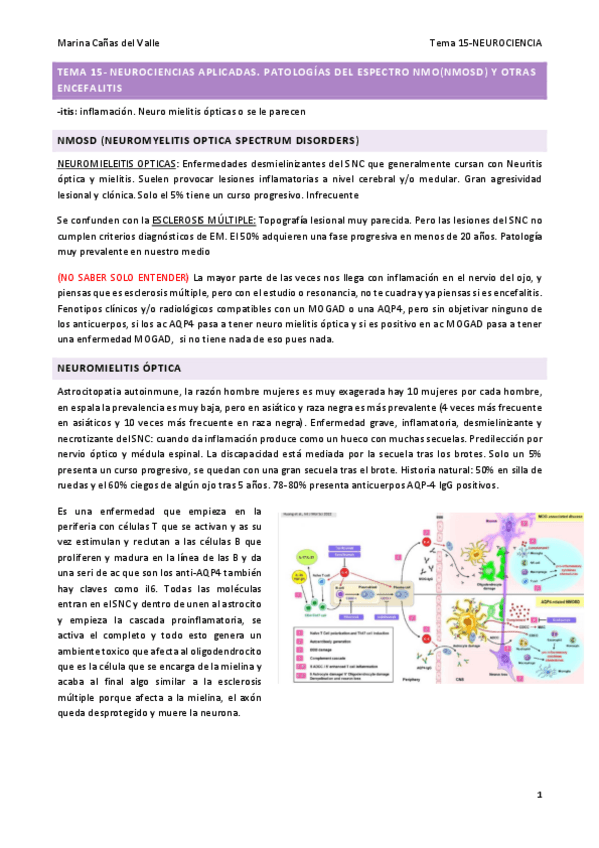Miniatura del documento TEMA-15.pdf