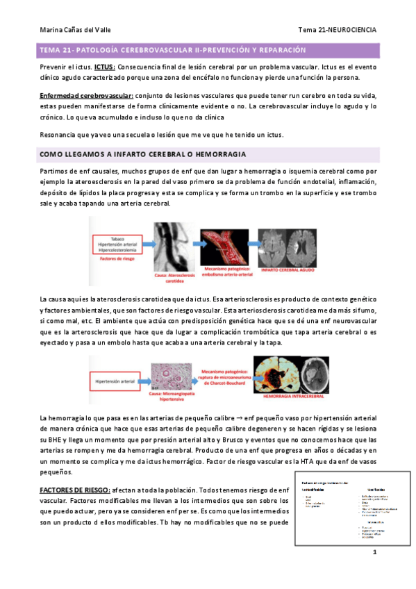 Miniatura del documento TEMA-21.pdf