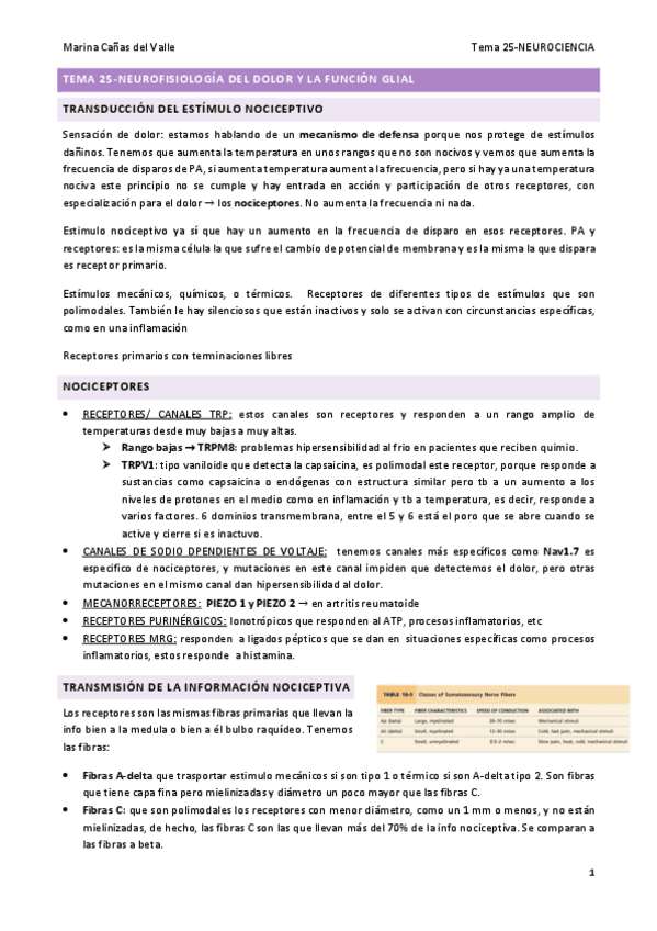 Miniatura del documento TEMA-25.pdf