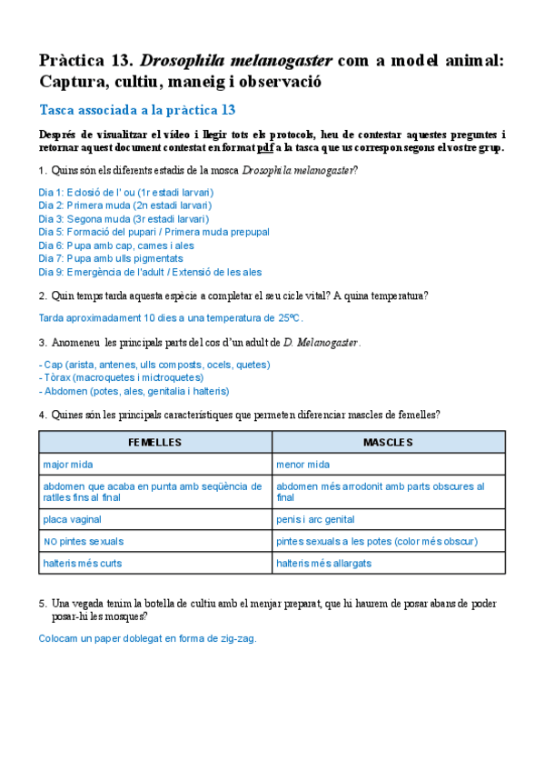 Miniatura del documento P.13-activitat.pdf