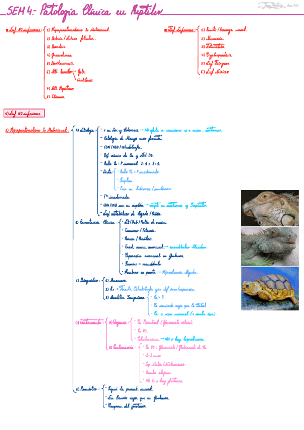 Miniatura del documento SEM-4-NAC.-Patologia-Clinica-en-Reptiles..pdf