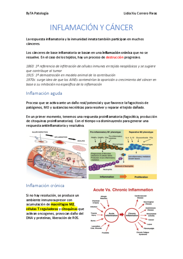 Miniatura del documento Inflamacion-y-cancer.pdf