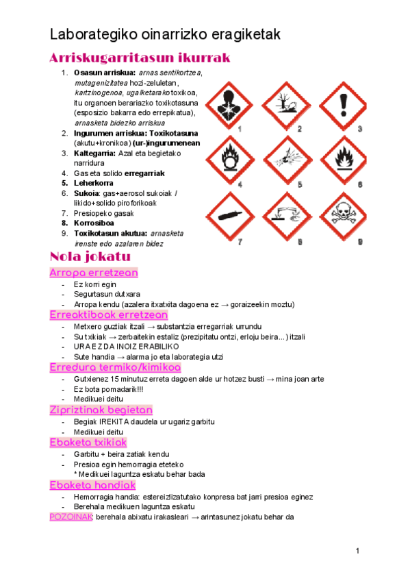 Miniatura del documento Praktika-eta-teoriaren-laburpen-motza.pdf