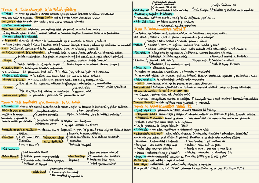 Miniatura del documento Esquema-salud-publica.pdf