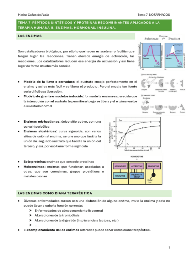 Miniatura del documento TEMA-7-Peptidos-sinteticos-y-proteinas-recombinantes-aplicados-a-la-terapia-humana-II.-Enzimas.-Hormonas..pdf
