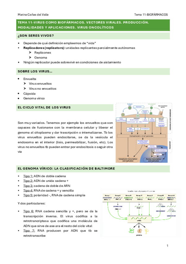 Miniatura del documento TEMA-11-Virus-como-biofarmacos.-Vectores-virales.-Produccion.-Modalidades-y-aplicaciones.-Virus-oncoliticos.pdf