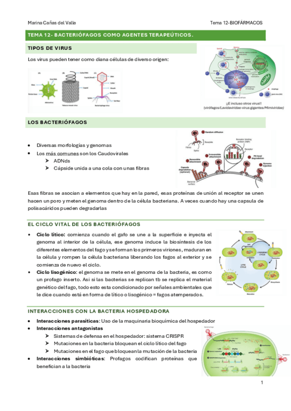 Miniatura del documento TEMA-12-Bacteriofagos-como-agentes-terapeuticos..pdf