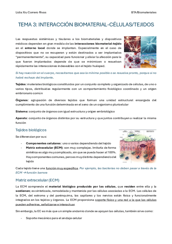 Miniatura del documento Tema-3.pdf