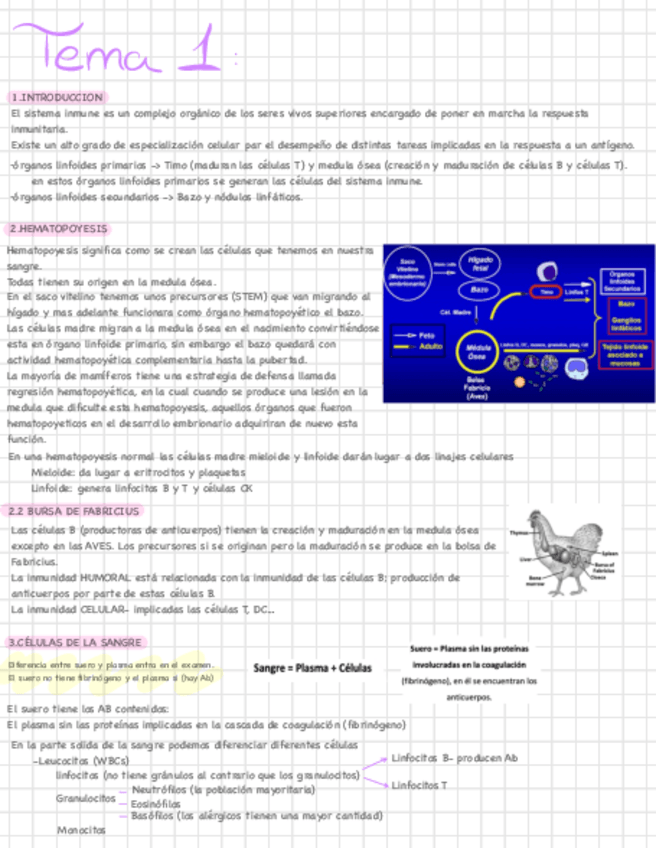 Miniatura del documento TEMA1.pdf