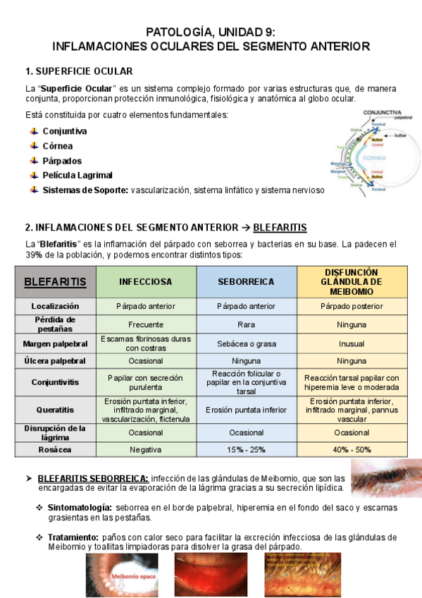 Miniatura del documento PATOLOGIA-RESUMEN-UNIDAD-9.pdf