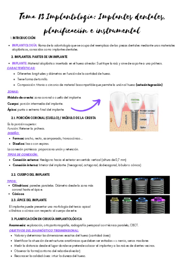 Miniatura del documento T13-CONSERVADORA.pdf