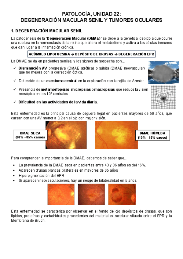 Miniatura del documento PATOLOGIA-RESUMEN-UNIDAD-22.pdf