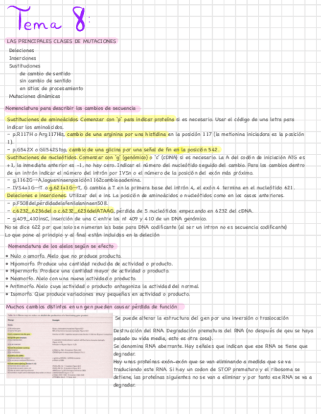 Miniatura del documento TEMA8.pdf