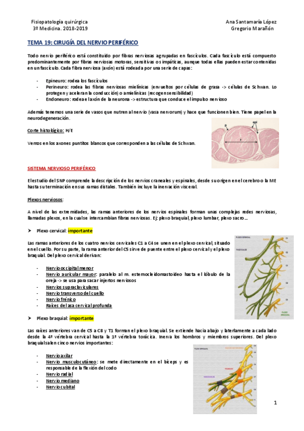 Miniatura del documento Tema 19 - Cirugía del nervio periférico.pdf