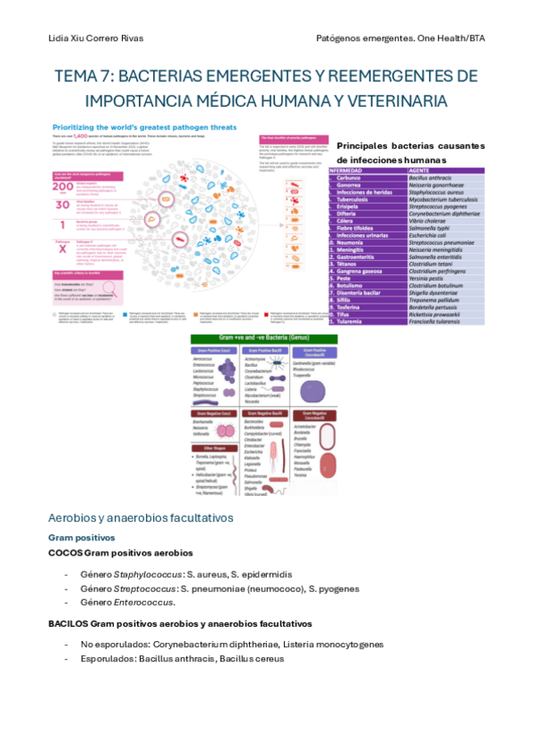 Miniatura del documento Tema-7.pdf