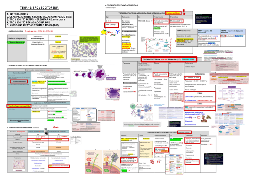 Miniatura del documento 16.-Trombocitopenia.pdf