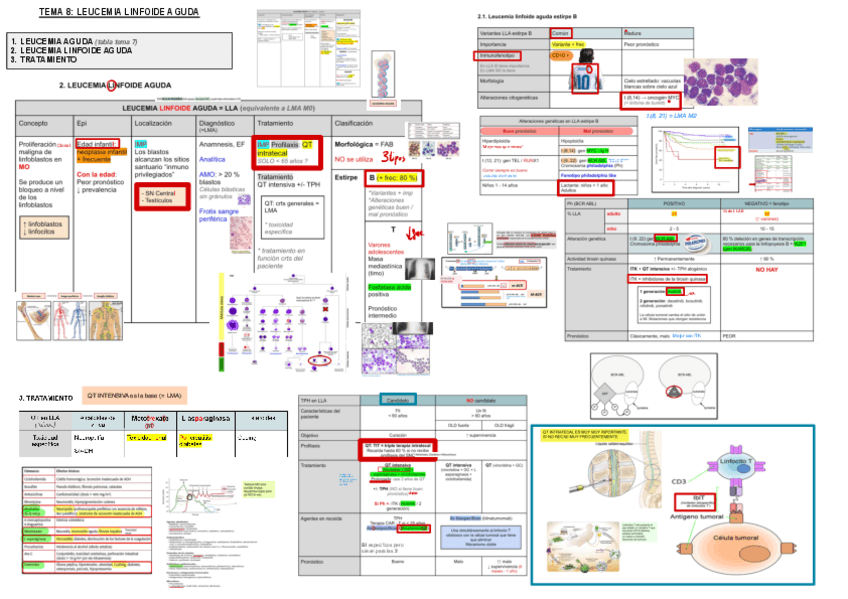 Miniatura del documento 8.-Leucemia-Linfoide-Aguda.pdf
