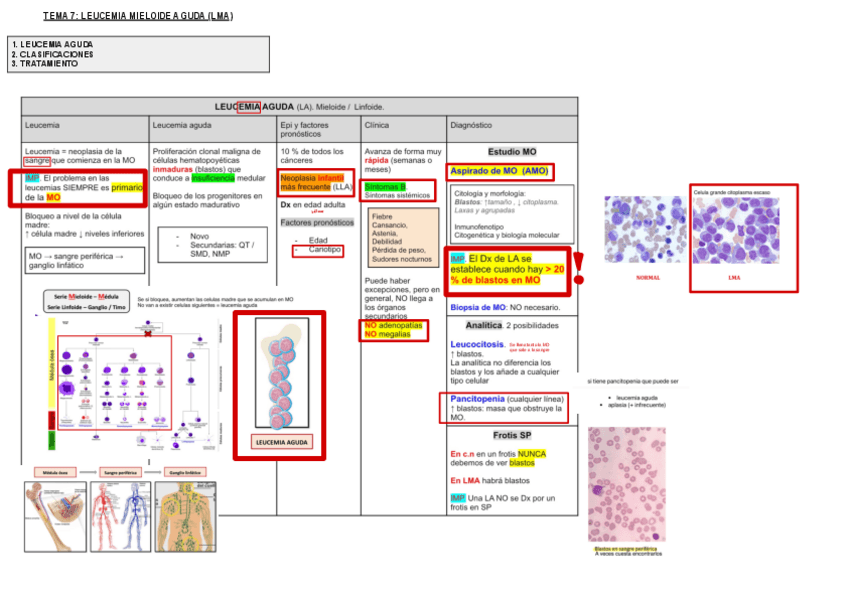 Miniatura del documento 7.-Leucemia-Mieloide-Aguda.pdf